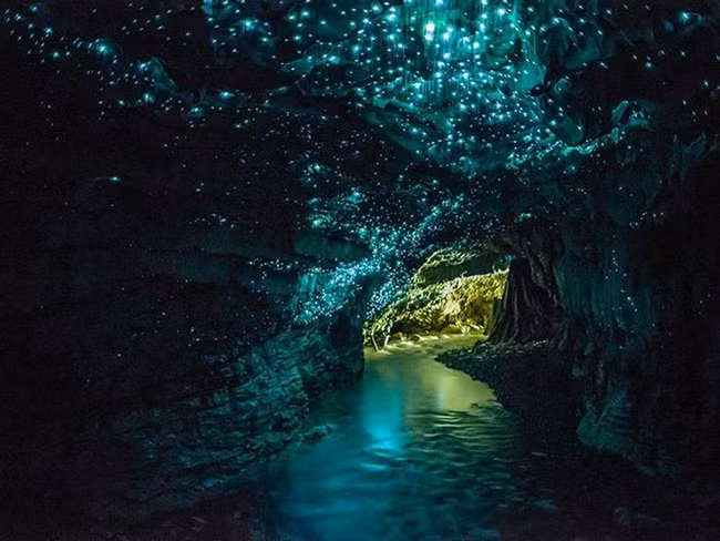 Hang động Waitomo Glowworm ở New Zealand: Hang động nằm ở New Zealand này phát ra ánh sáng rất kỳ lạ, nhưng chúng xuất phát từ tự nhiên và là kết quả của một loại sinh vật sống trong hang động có biệt danh là "giun phát sáng".
