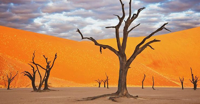 Namib Naukluft của Namibia: Đây là một trong những sa mạc lớn nhất trên thế giới, trải dài bằng kích thước của một số nước châu Âu như Thụy Sĩ. Bên cạnh kích thước khổng lồ thì màu cam mê hoặc tạo nên sa mạc này cũng là thứ kéo du khách tới thăm.