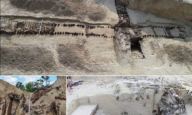 Trong quá trình thi công bãi đỗ xe dưới lòng đất, các công nhân tình cờ phát hiện cấu trúc bí ẩn. Ngay sau đó, các nhà khảo cổ tới hiện trường và xác định đó là một boongke bí mật của Đức quốc xã.