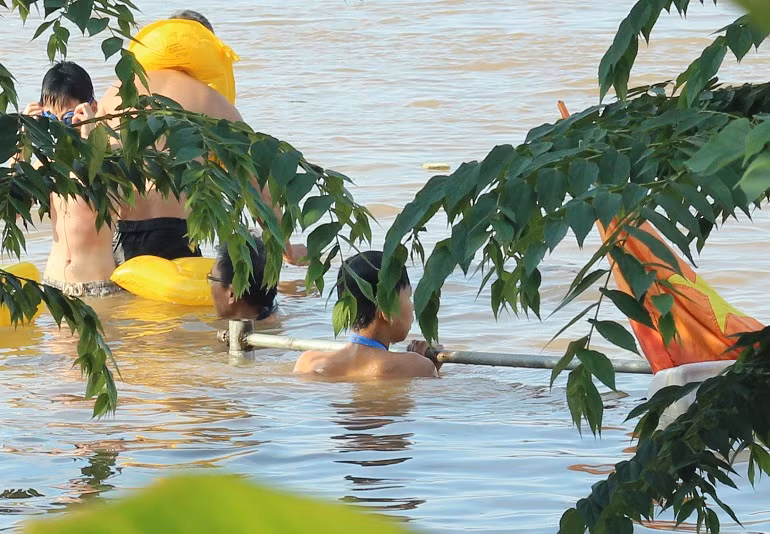 ...Bơi đùa một cách thoải mái dưới nước lũ.