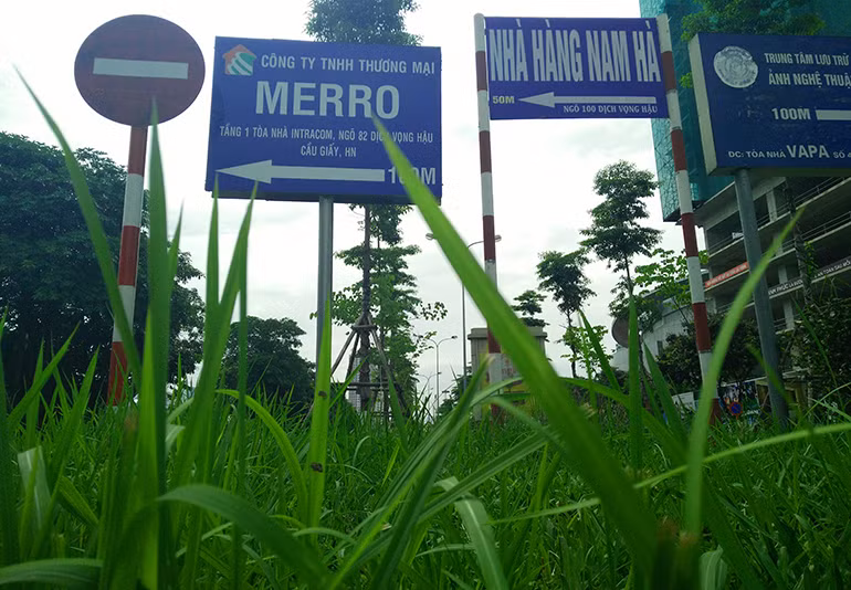 Dải phân cách trên đường Tôn Thất Thuyết.