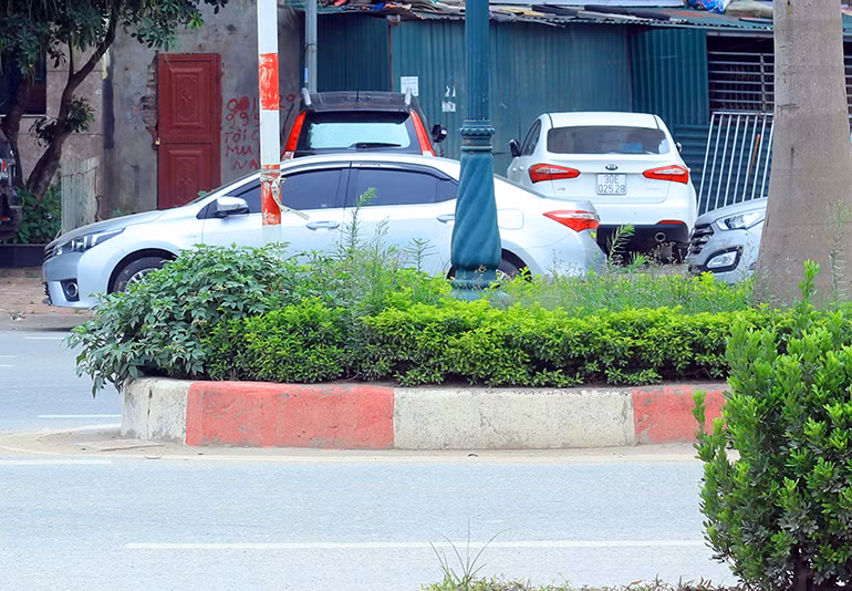 Dải phân cách đường Trần Hữu Dực.