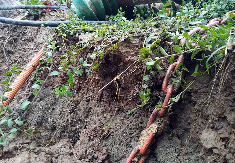 Theo một số người dân sinh sống gần khu vực, ban đầu những vết sạt lở chỉ xuất hiện rất nhỏ nhưng những ngày qua, do ảnh hưởng của các trận mưa lớn, kéo dài nên đất ngày càng sụt lún nghiêm trọng vào phía đường nhựa.