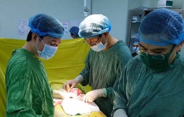 Hoai tu 'cau nho' vi tu tiem silicon cai thien kich co