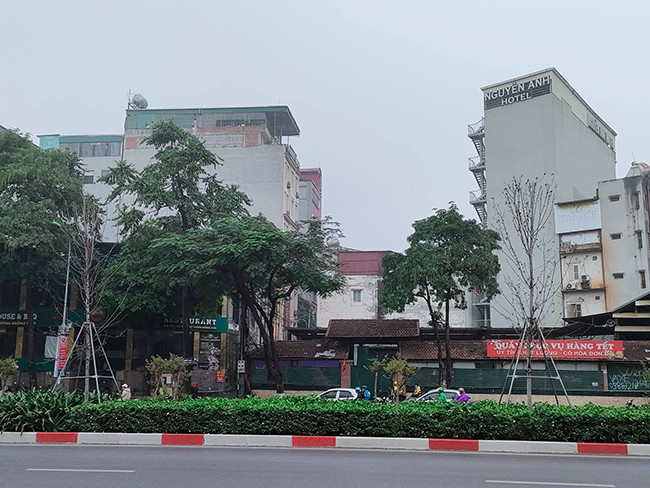 Nhìn hàng cây xơ xác, khô héo... người dân không khỏi tiếc nuối.