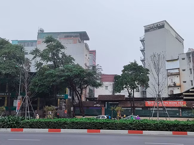 Nhìn hàng cây xơ xác, khô héo... người dân không khỏi tiếc nuối.