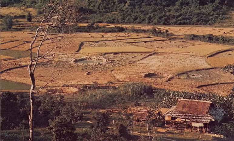 Các hố bom Mỹ trên cánh đồng thôn Đông Sơn, xã Quang Sơn, khu tự trị Việt Bắc.