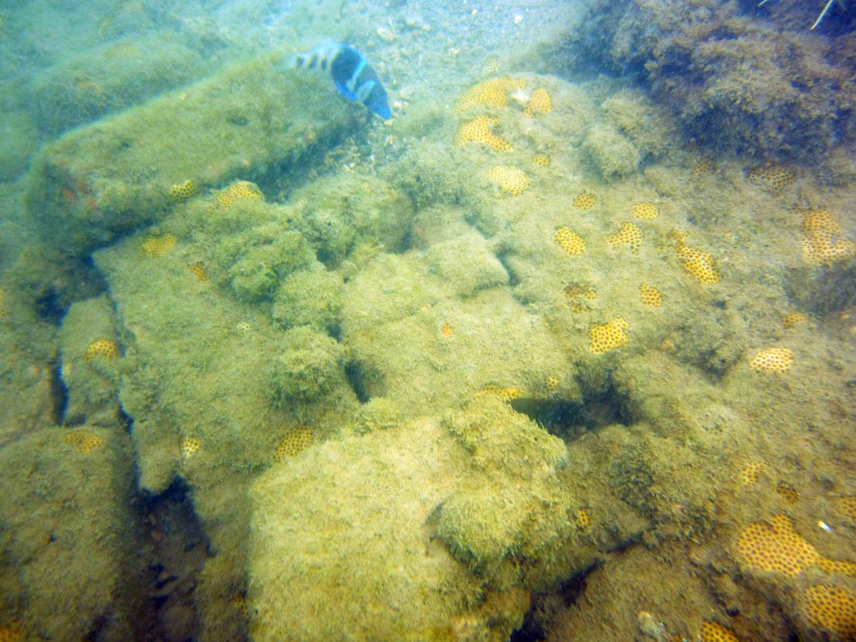 Vào thời điểm thịnh vượng, thành phố có một pháo đài và hàng trăm ngôi nhà, cửa hàng và nhà kho.