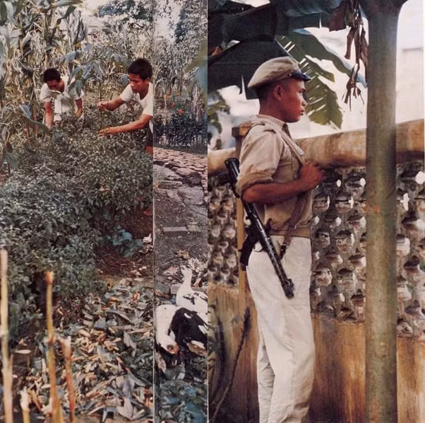 Sáng dậy từ 5h, tập thể dục, đi chợ, tăng gia sản xuất, nấu ăn, quét dọn, canh gác, học tập... là công việc thường ngày của chiến sĩ Pathet Lào ở Viêng Chăn.