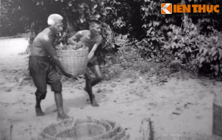 Vận chuyển vũ khí ngụy trang trong cần xé.