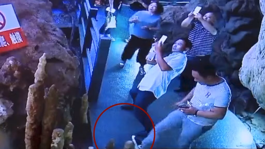  Cố ý phá thạch nhũ nghìn năm tuổi ở Trung Quốc: Tại hang động ở tỉnh Quý Châu, một nam du khách đã cố tình đá vào cột thạch nhũ cao khoảng 50 cm nhiều lần cho tới khi cột đá đổ xuống, phá hủy một tác phẩm tạo hóa đã mất hàng nghìn năm xây dựng. Ảnh: Insider.