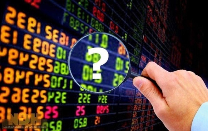 Trước khi cổ phiếu bị hủy niêm yết bắt buộc, Tập đoàn Tiến Bộ kinh doanh sao? Truoc khi co phieu bi huy niem yet bat buoc, Tap doan Tien Bo kinh doanh sao?