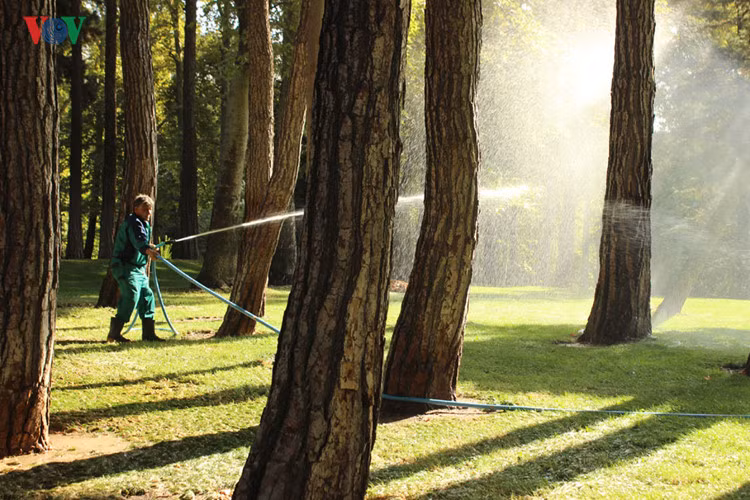 Mùa khô hạn kéo dài từ tháng 5 đến tháng 11. Thế nhưng ở thủ đô Tehran có 800 công viên, cây xanh được trồng và chăm sóc rất tốt.