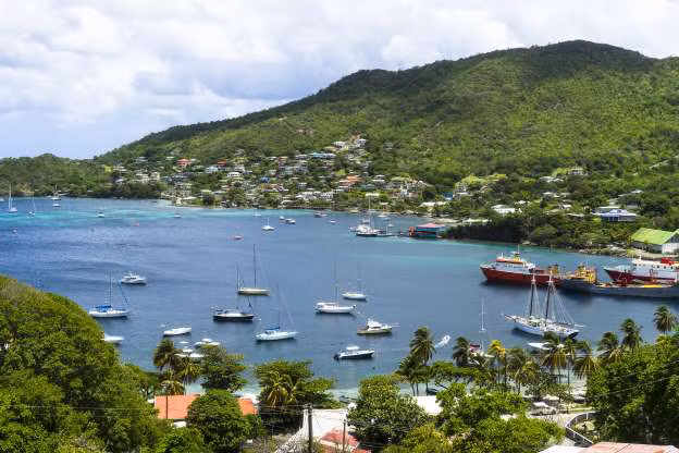 Saint Vincent và Grenadine. Việc phòng vệ của quốc gia Caribe này do Hệ thống An ninh Khu vực đảm bảo. Lực lượng Cảnh sát Hoàng gia của nước này làm nhiệm vụ duy trì pháp luật và trật tự nội bộ.