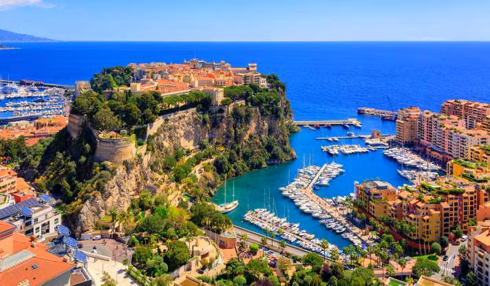 Monaco không có quân đội từ thế kỷ 17. Mặc dù Pháp chịu trách nhiệm bảo vệ Monaco, công quốc này vẫn có 2 đơn vị vũ trang nhỏ. Một đơn vị đảm nhận nhiệm vụ bảo vệ hoàng gia và đơn vị còn lại bảo vệ người dân.