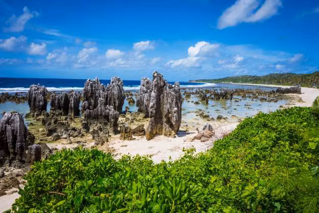 Nauru. Quốc gia Trung Phi này không có lực lượng quân đội, nhưng có thỏa thuận không chính thức với Australia về hợp tác quốc phòng. Quốc gia nhỏ thứ 3 thế giới về diện tích này có lực lượng cảnh sát được trang bị tốt đảm bảo an ninh nội địa.