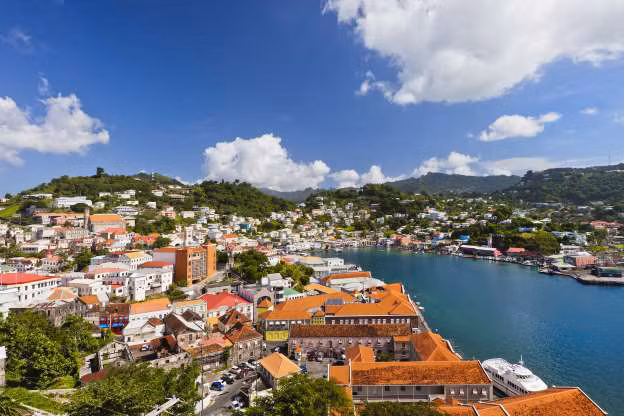 Greneda. Sau cuộc xâm lược năm 1983 của Mỹ, quốc gia Caribe này đã giải tán lực lượng vũ trang. Lực lượng cảnh sát Hoàng gia Greneda chịu trách nhiệm bảo vệ an ninh, trong khi Lực lượng An ninh Khu vực chịu trách nhiệm phòng vệ đất nước.