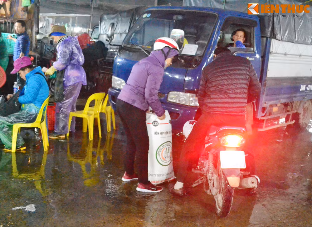 Sau khi chọn cá sẽ được cho vào túi bóng, bơm oxi rồi vận chuyển về chợ nhỏ bán lẻ.