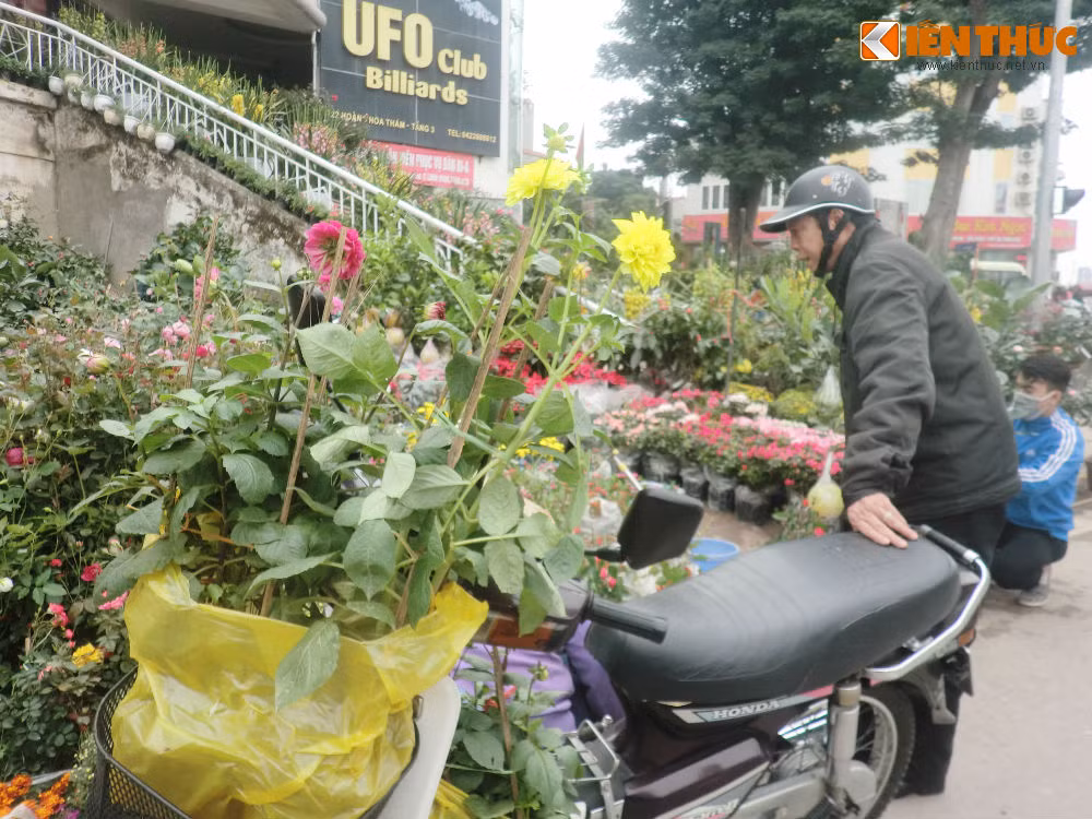 Ngoài ra, nhiều người dân còn mua hoa về để trang trí. Hoa thược dược được bán với giá 70.000 đồng/cây và hoa hồng thường có giá 40.000 đồng/cây.