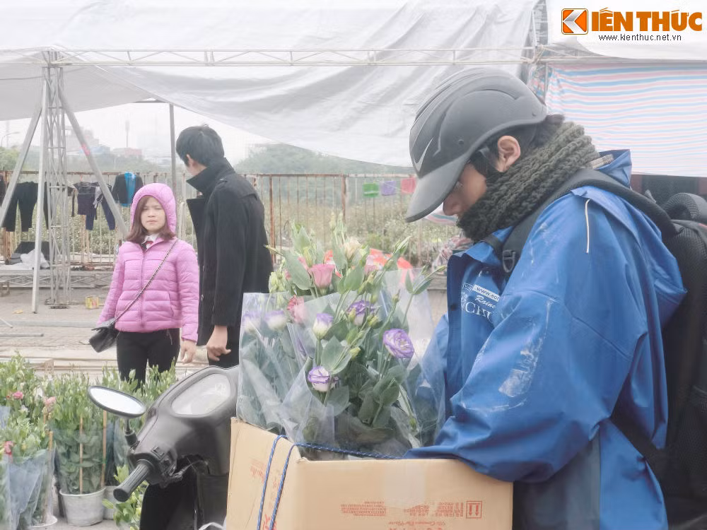 Hay lan cát tường có giá 150.000 đồng/chậu.