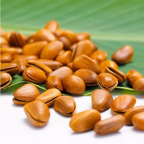 Hạt thông Mỹ nhập khẩu có giá khoảng 480.000 đồng/kg, có vị thơm giống phô mai, rất bùi, ngậy. Những năm gần đây, hạt thông trở thành đồ ăn đãi khách dịp Tết quen thuộc của một bộ phận gia đình người Việt. Bên cạnh hạt thông nhập khẩu còn có hạt thông Sa Pa. Ảnh: Vdeltagoods.