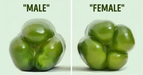 Thu thuat nau an sieu hang cuc huu ich ban nen biet-Hinh-7