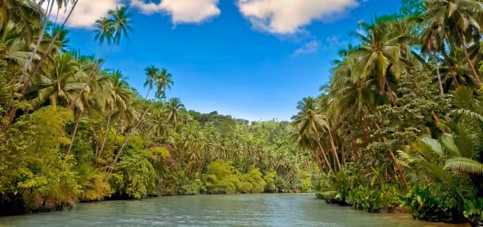 Với những nét độc đáo riêng, rừng rậm Amazon là một trong những nơi đa dạng, độc đáo và cuốn hút nhất trên hành tinh của chúng ta.