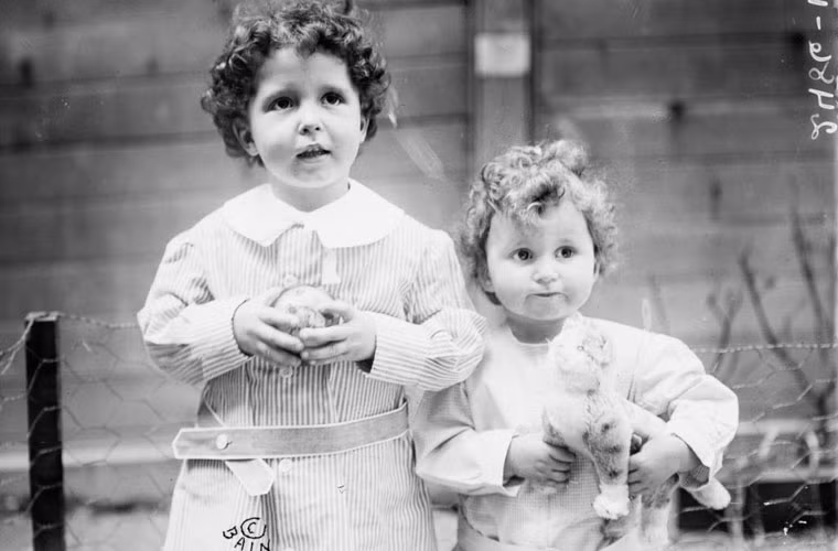 Hai em bé ban đầu chưa được xác định danh tính do cha các em dùng tên cúng cơm để đăng ký cho các em lên tàu du lịch hạng sang Titanic. Cuối cùng, nhà chức trách tìm ra tên hai em đó là Michael Navratil (4 tuổi) và em trai Edmond (2 tuổi).