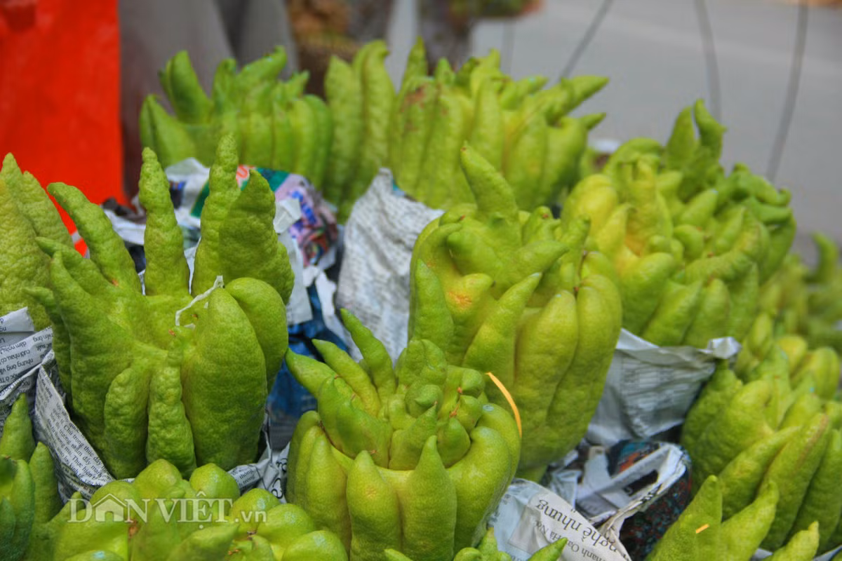 Vợ chồng anh chị Đức Hoàn (Đắc Sở, Hoài Đức, Hà Nội) bán hàng rong phật thủ trên đường Lê Hồng Phong (Hà Đông) chia sẻ: "Rằm tháng Bảy năm nay giá hoa quả không cao, không biết vài ngày tới giá cả như thế nào chứ những quả phật thủ trong gánh hàng của tôi được nhập buôn đổ xô giá 60.000 đồng/quả, bán cho khách cũng chỉ được 70.000-80.000 đồng/quả. Hàng này mà vào thời điểm Tết thì bán với giá cũng được kha khá 300.000-400.000 đồng/quả."