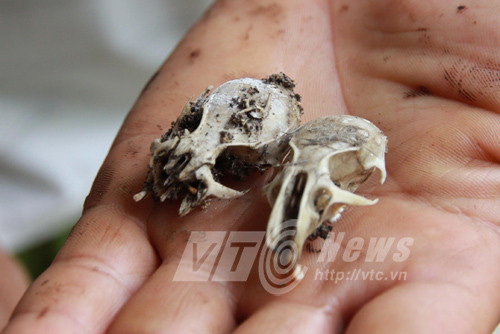 Bi an dai bang khong lo canh linh hon nguoi Xa o Son La-Hinh-4