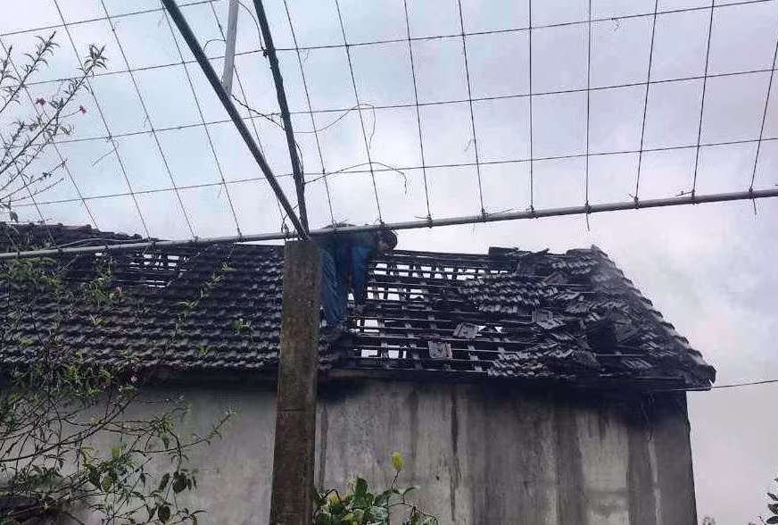 Nam thanh nien dot nha, dam trong thuong 2 me con nguoi yeu-Hinh-2