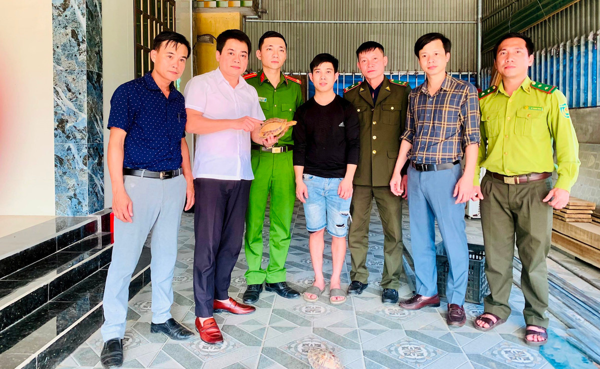 Nguoi dan phat hien loai rua quy hiem nam trong sach do the gioi