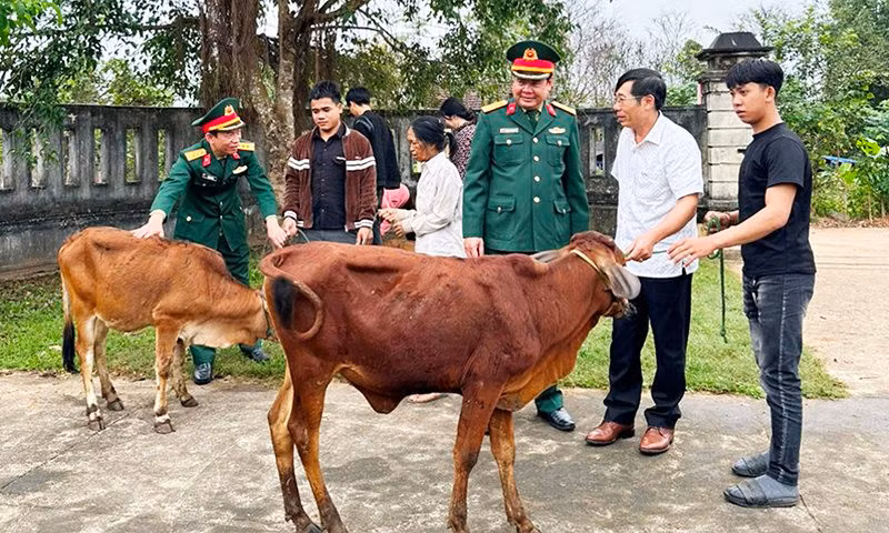 Tặng bò cho gia đình thanh niên nhập ngũ có hoàn cảnh khó khăn Tang bo cho gia dinh thanh nien nhap ngu co hoan canh kho khan