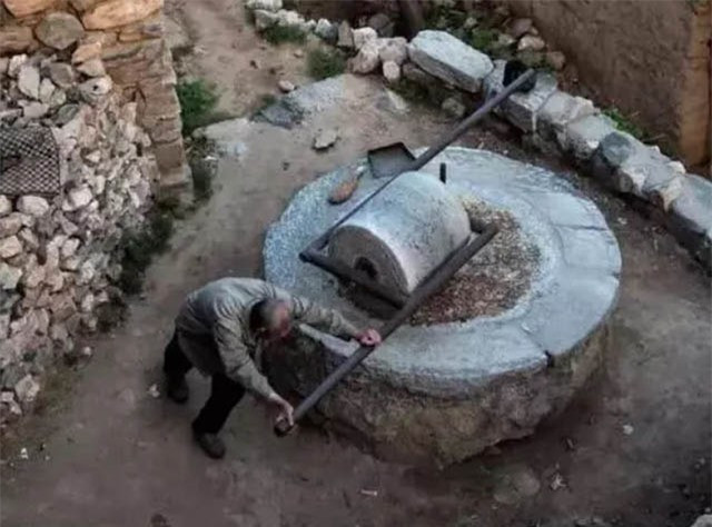 Ngoi lang nghin tuoi co 15 nguoi gia, 3 con cho, 6 con meo sinh song-Hinh-4