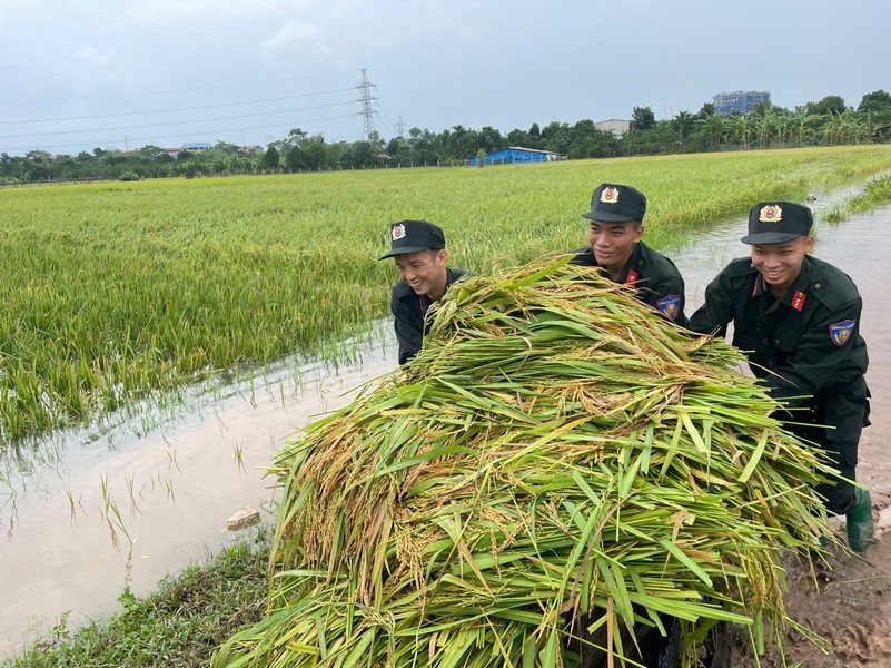 Nụ cười người chiến sỹ xua tan đi mệt mỏi của việc gặt lúa chạy lũ