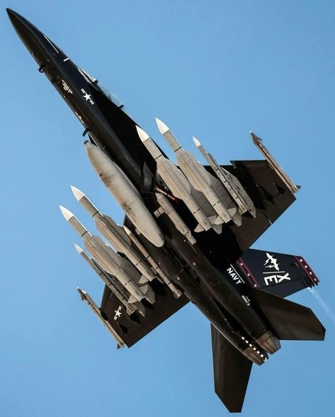 Đó là một chiếc F/A-18E Super Hornet với màu sơn đen đặc biệt, cho thấy nó thuộc về Phi đội thử nghiệm số 9 (VX-9) mang tên Vampire, đóng tại Căn cứ thử nghiệm vũ khí hàng không hải quân (NAWS) ở China Lake, bang California.