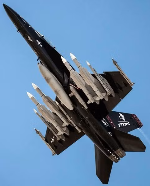 Đó là một chiếc F/A-18E Super Hornet với màu sơn đen đặc biệt, cho thấy nó thuộc về Phi đội thử nghiệm số 9 (VX-9) mang tên Vampire, đóng tại Căn cứ thử nghiệm vũ khí hàng không hải quân (NAWS) ở China Lake, bang California.