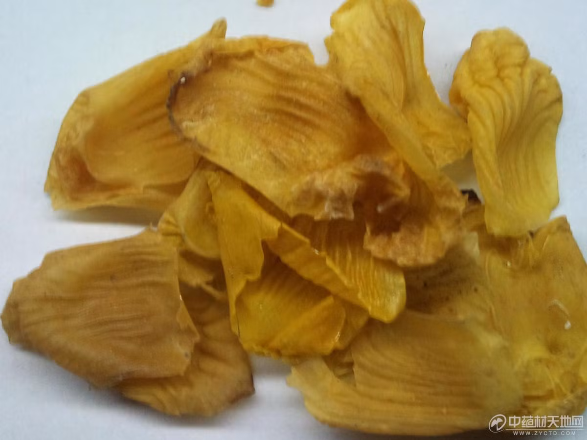 Bột mịn kê nội kim 4g, bột mịn mai mực 4g, bột gạo nếp rang thơm 2g, bột cam thảo đã khử 0,2g. Tất cả trộn thành 1 gói, mỗi ngày uống 2 gói sau bữa ăn có thể chữa viêm loét dạ dày – tá tràng. Tuy nhiên, để sử dụng kê nội kim một cách an toàn và có hiệu quả, bạn nên tham khảo trước ý kiến từ các bác sĩ, thầy thuốc Đông y uy tín.