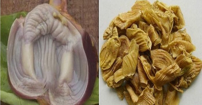 Người bình thường thi thoảng ăn màng mề gà để tăng cường sức khỏe, tốt cho lá lách, dạ dày, điều hòa gan.