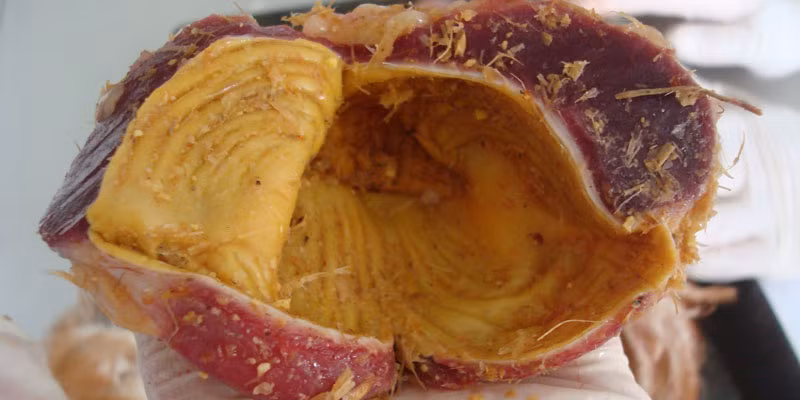 Theo y học cổ truyền, kê nội kim là màng trong (nội mạc) của mề (dạ dày) con gà, có vị ngọt, tính bình, thường dùng cho các trường hợp ăn uống không tiêu, trẻ em suy dinh dưỡng, di tinh, di niệu, sỏi đường mật, sỏi đường tiết niệu…