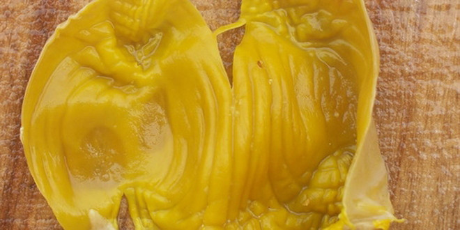 Ngoài ra, trong kê nội kim có các protid các chất vị kích tổ (ventriculin) cùng 17 loại amino acid, keratin, pepsin, ventriculin, ammonium chloratum, vitamin B1, B2 có tác dụng làm có tác dụng điều trị viêm đại tràng mãn tính, sỏi mật, sỏi tiết niệu.