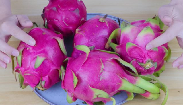 Loại thanh long như vậy rất nhanh hỏng, thối, và một khi có vết xước thì quả thanh long sẽ bị vi khuẩn xâm nhập, ảnh hưởng đến toàn bộ phần thịt bên trong của quả thanh long.