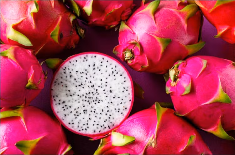  Thanh long là một loại quả chứa giá trị dinh dưỡng rất cao. Loại trái cây nhiệt đới này có tính ấm, giàu protein, vitamin, chất xơ và nhiều nguyên tố vi lượng, là loại trái cây rất tốt cho sức khỏe. (Ảnh minh họa)