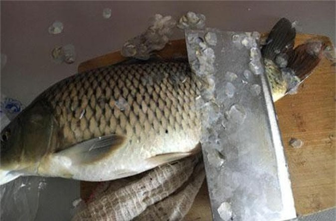 Axit béo không bão hòa có tác dụng phòng và điều trị sơ vữa động mạch, cholesterol trong máu cao, cao huyết áp và bệnh tim mạch.