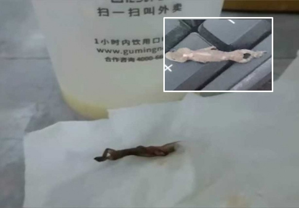 Uong het coc tra sua, co gai suyt non khi thay con vat nay