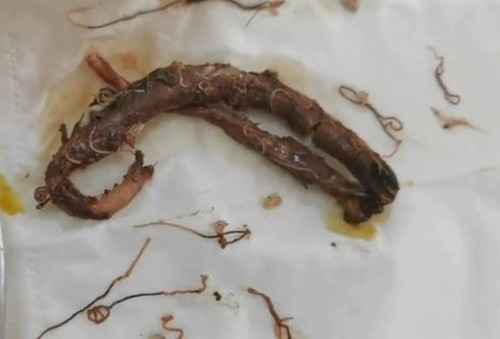 Hi hung nau luon chong bat, vo kinh hoang khi thay thu nay