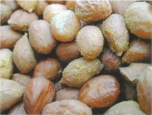 1. Lạc hỏng, nhăn, vàng Một số người có thói quen tiết kiệm, đôi khi lạc đã nhăn lại và ngả sang màu vàng thối nhưng họ vẫn ăn. Thực tế, mọi người cho rằng lạc mốc mới nên bỏ đi vì chúng có vị đắng, ít người biết lạc bị nhăn và vàng thì cũng không thể ăn được bởi khi lạc trải qua những biến đổi như vậy thì lạc hầu hết đã bị biến chất.