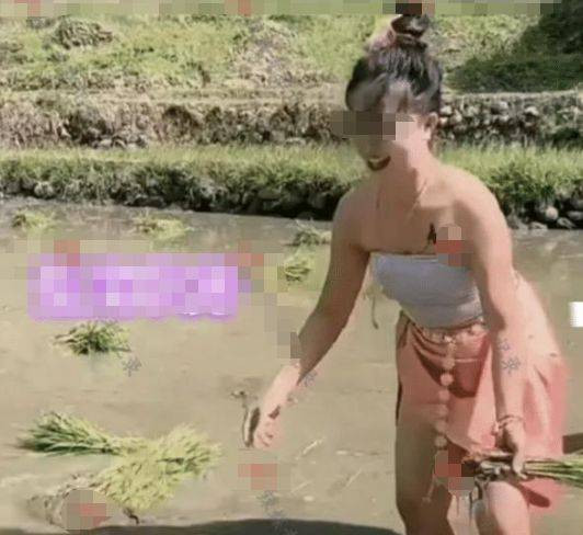 Không phải ở khu nghỉ dưỡng trượt tuyết, cũng chẳng phải quán cà phê, thánh địa check-in mới nhất của các hot girl mạng này chính là những cánh đồng.