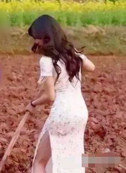 Những người nông dân thực thụ không những không có thời gian để quay video, chụp ảnh, cũng không mặc những bộ quần áo phù phiếm như vậy.