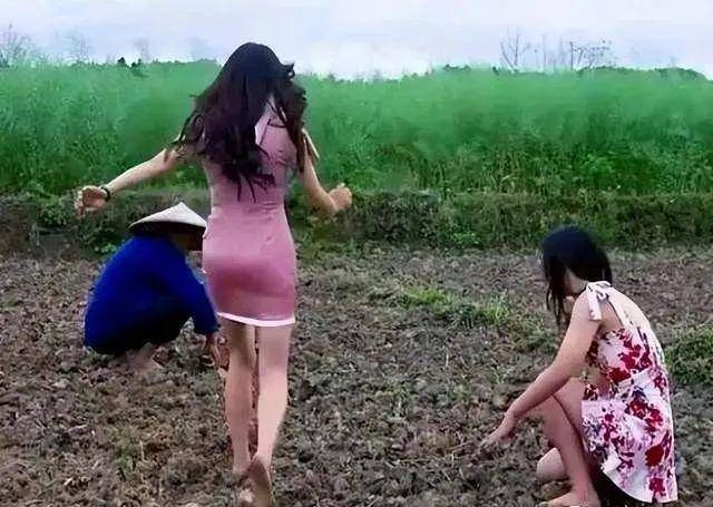 Thời gian gần đây, có không ít hot girl mạng xã hội, những streamer nổi tiếng đã lựa chọn ruộng đồng làm nơi o bế hình ảnh của họ.